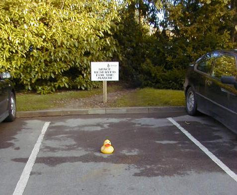 duck-parking.JPG