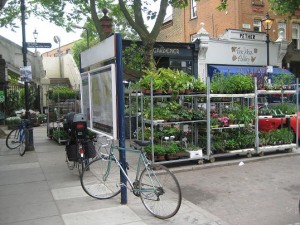 kew gardener