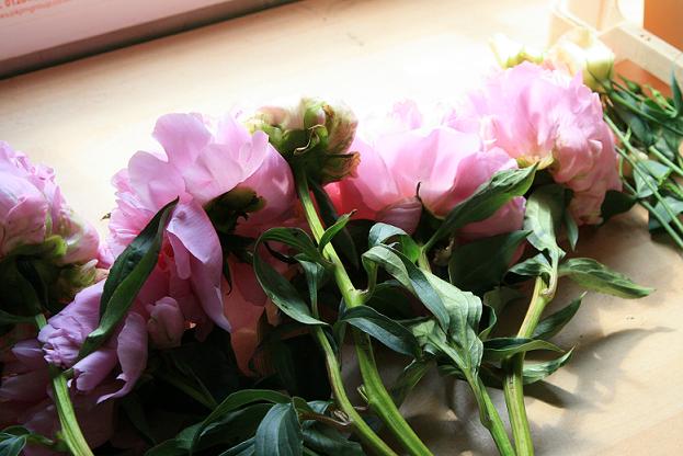 flowersonbench