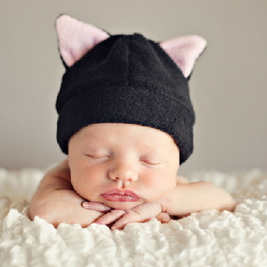 Pig Baby Pig Baby