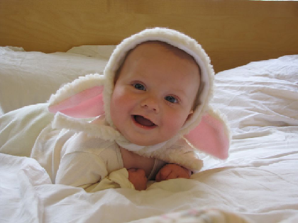 Sheep Baby 2 Sheep Baby 2