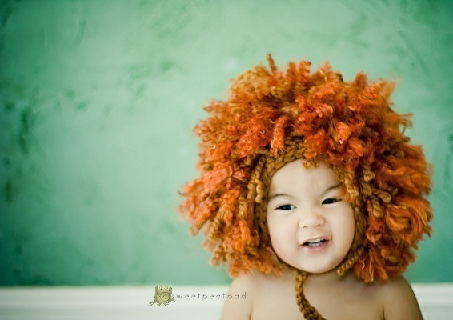 Lion baby Lion baby
