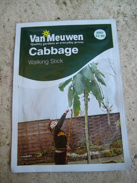 Walking Stick Cabbage Walking Stick Cabbage