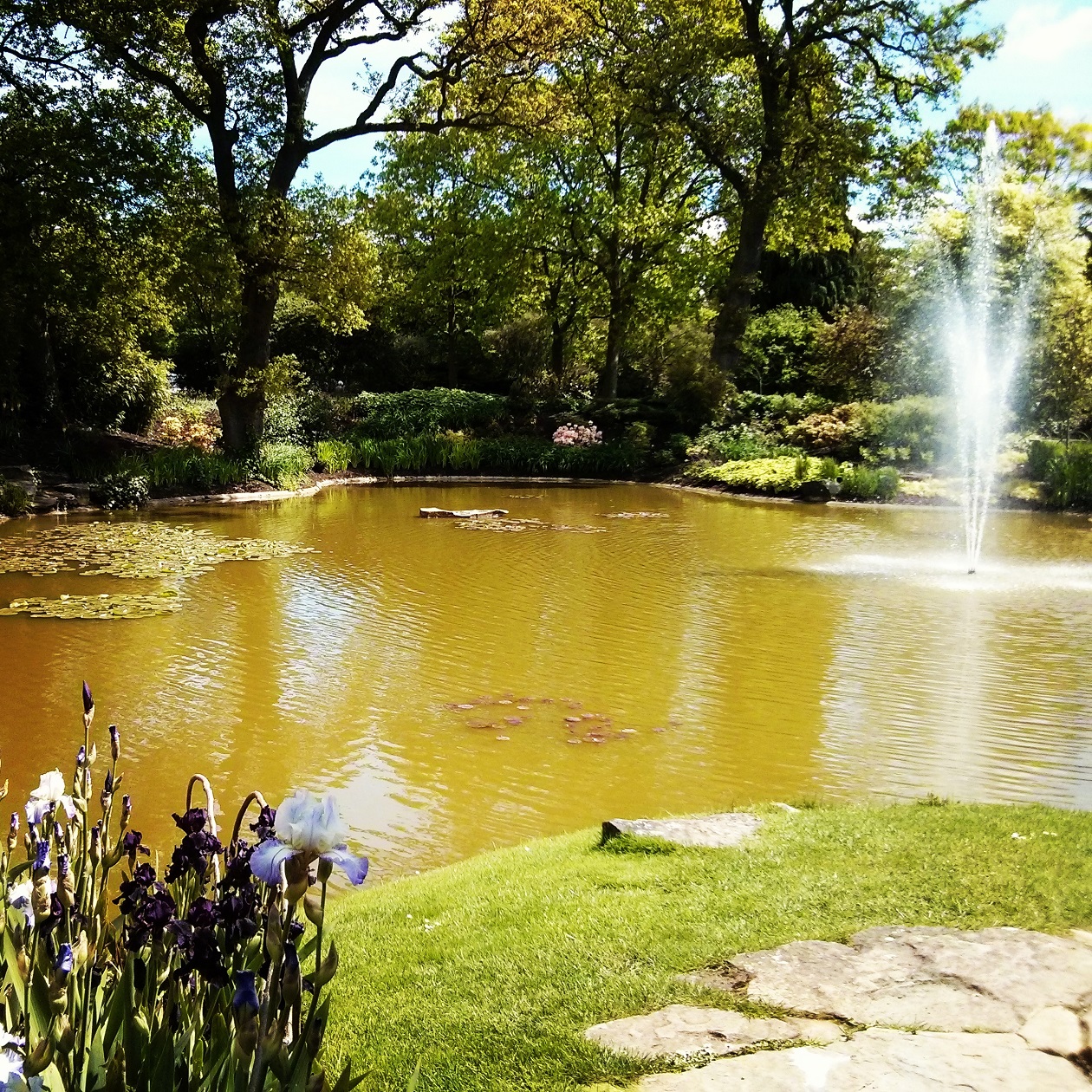 Water Garden at Cliveden, Maidenhead